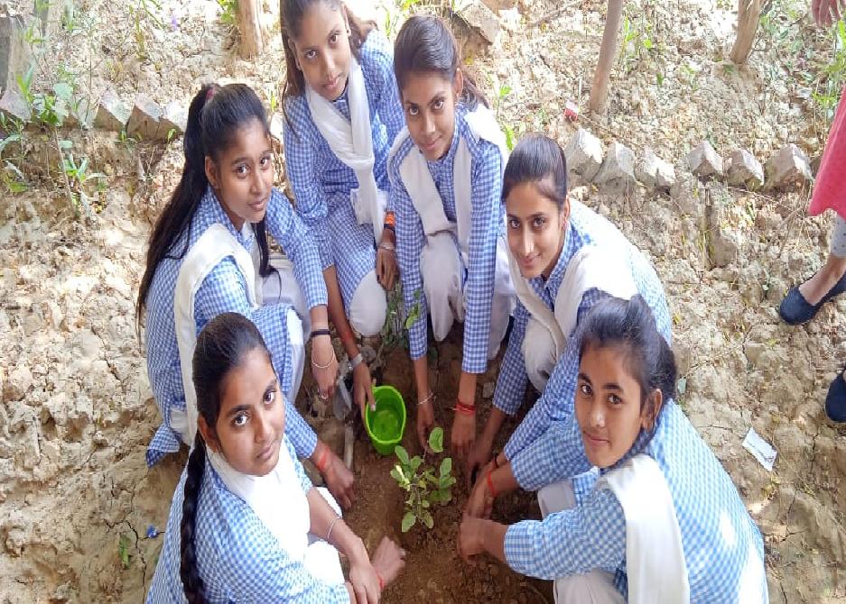 Eco-Friendly campus activity